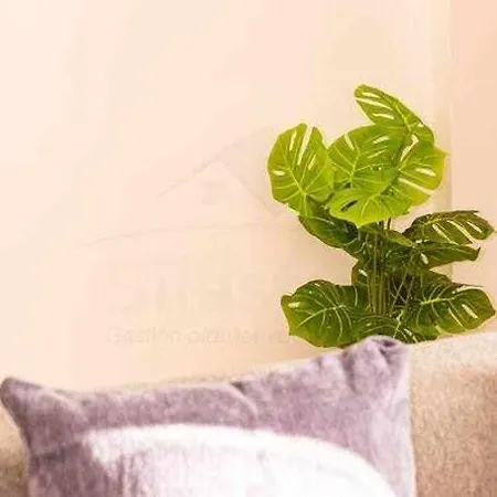 Balmes Apartamento Gijon